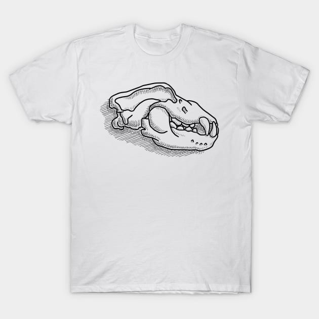 Ursus Spelaeus, Cave Bear Skull Line-Drawing T-Shirt by taylorcustom